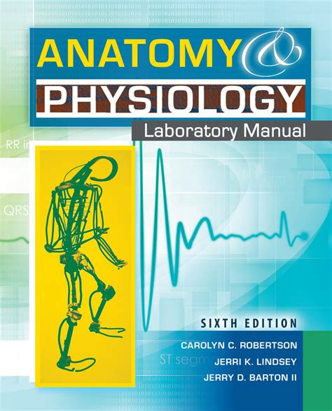 anatomy physiology lab manual answers|anatomy physiology laboratory manual answers.